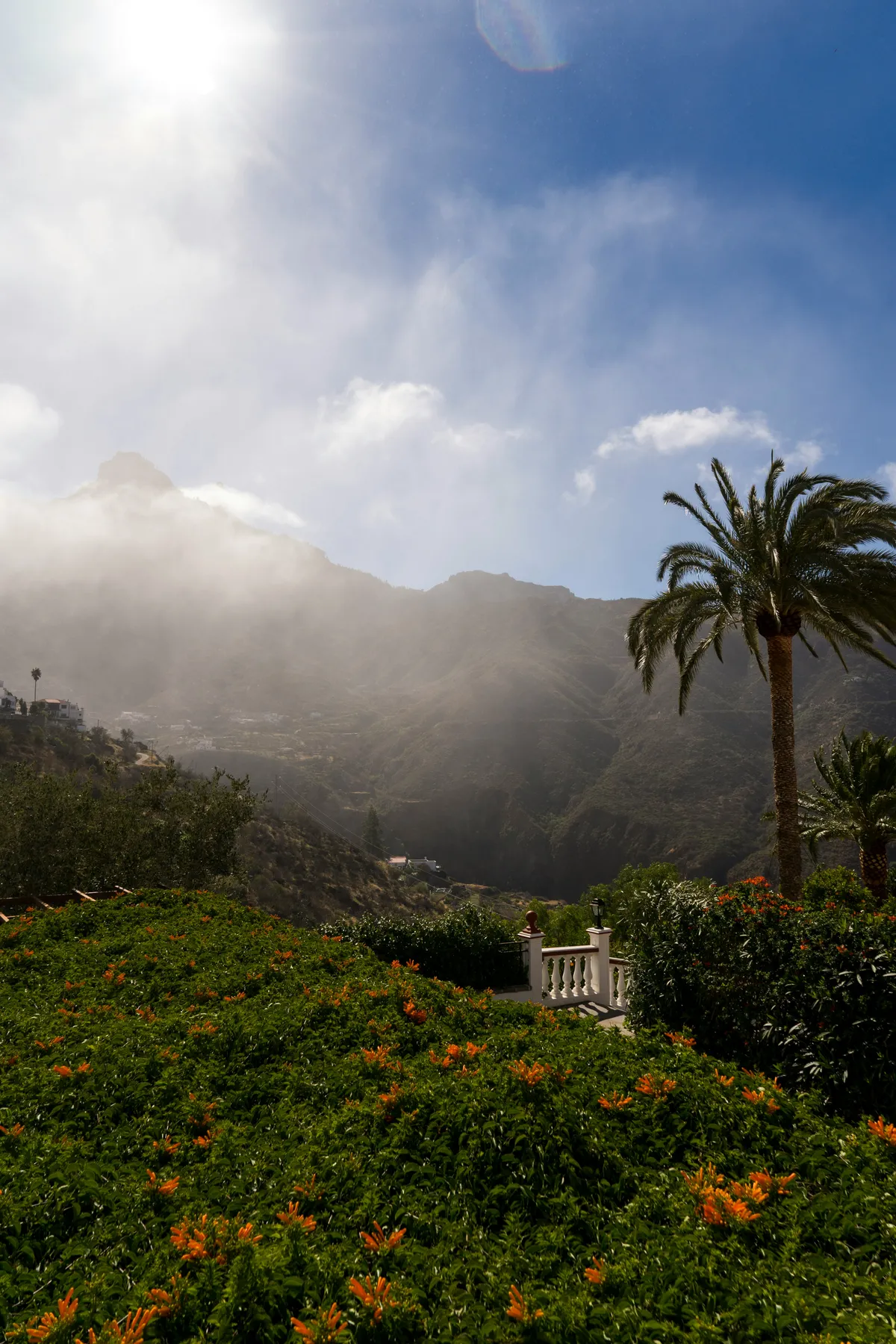 The mountains around Tejeda wreathed in cloud, with a palm tree and a flowering garden in the foreground