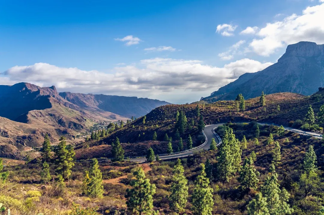 Carretera de montaña entre pinos canarios en el interior de Gran Canaria
